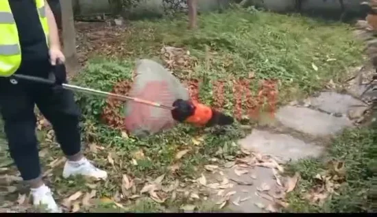 Hiqh Quality CE 2 Stroke Gasoline Eb808 Backpack Leaf Blower